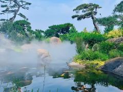 -罗红摄影艺术馆