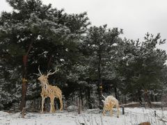 -北京西山国家森林公园