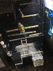 -日月刺青工作室·高端纹身
