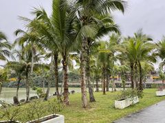 -海南文笔峰盘古文化旅游区