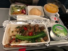 -新加坡航空公司(ION)