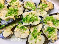 蒸带子-老三鱼仔店
