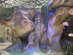 -杭州开元森泊度假乐园