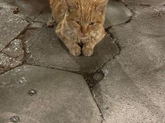 -又见炊烟．纳西小院云南菜