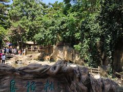 -燕塞湖鸟语林景区