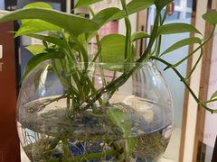 -宁波壹加壹口腔·矫正种植中心