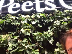 -Peet's Coffee皮爷咖啡(上海长风大悦城店)