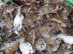 -盛华世家商业广场农贸水产综合批发市场