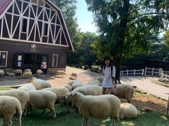 -神户市立六甲山牧场