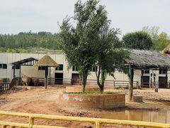 -鄂尔多斯野生动物园