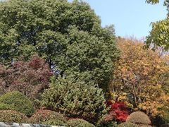 -赭山公园