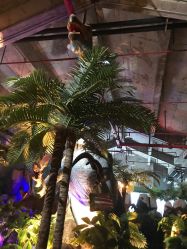 -恐龙探索乐园(磁器口店)