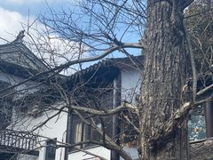 350年板栗树-兴福老面馆(寺路街店)