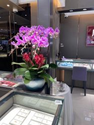 -周大福CHOW TAI FOOK(金汇广场珠宝店)
