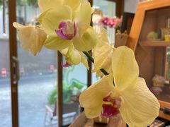 -ABCD咖啡屋(妇幼店)