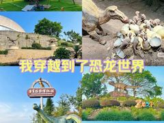 -自贡恐龙博物馆