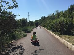 -永定河休闲森林公园