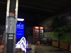 -杨合林啊兰烤鱼