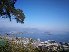 -大埔公路-马料水段香港中文大学(公交站)