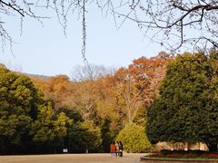 -灵谷景区