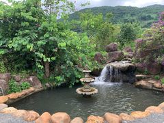 -清溪森林公园