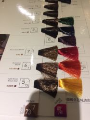 点击看大图 -藤野造型