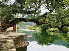 -上坦村