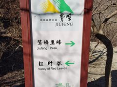 -北京鹫峰国家森林公园