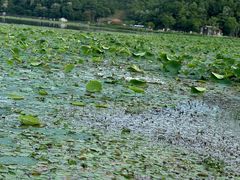 -东钱湖旅游度假区