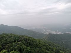 -梧桐山风景名胜区