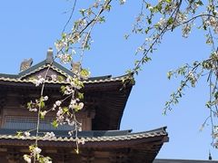 -湘湖金融镇