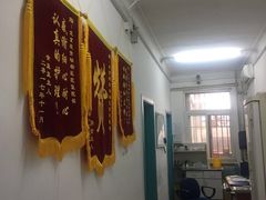 -北京观赏动物医院·24小时大型综合·猫专科·异宠专科