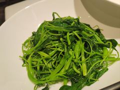 青菜-院里寻菜·精致庭院菜(观沙岭店)