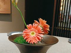 -花锦堂·隐庐