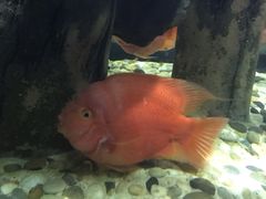-苏州海洋馆