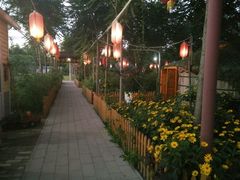 -草根堂农场