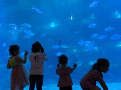 -福州罗源湾海洋世界旅游区