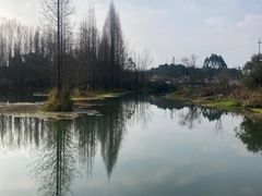 -桤木河湿地公园