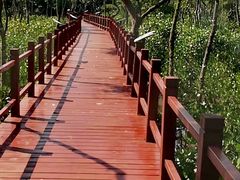 -东寨港红树林旅游区