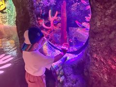 -沈阳海洋探索中心