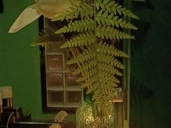 -观唐足道SPA养生会馆(南湖店)