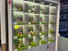 -七采菌园·石锅鱼野生菌火锅(环城北路店)