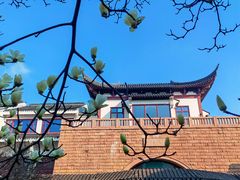 -苏州吴宫泛太平洋酒店