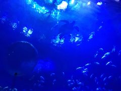 -南昌融创海世界