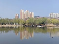 -前关湿地公园