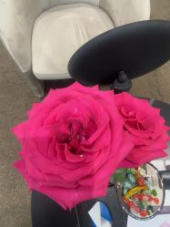 -星和深湾荟医疗美容