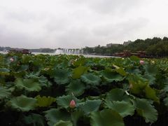 IMG00030-20120717-1612-西湖游船