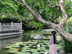 -晓港公园
