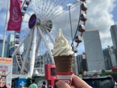 -富豪雪糕车流动点(尖沙咀店)