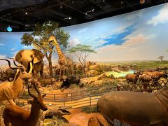 -陕西自然博物馆